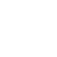 Hayden Falzon Logo white